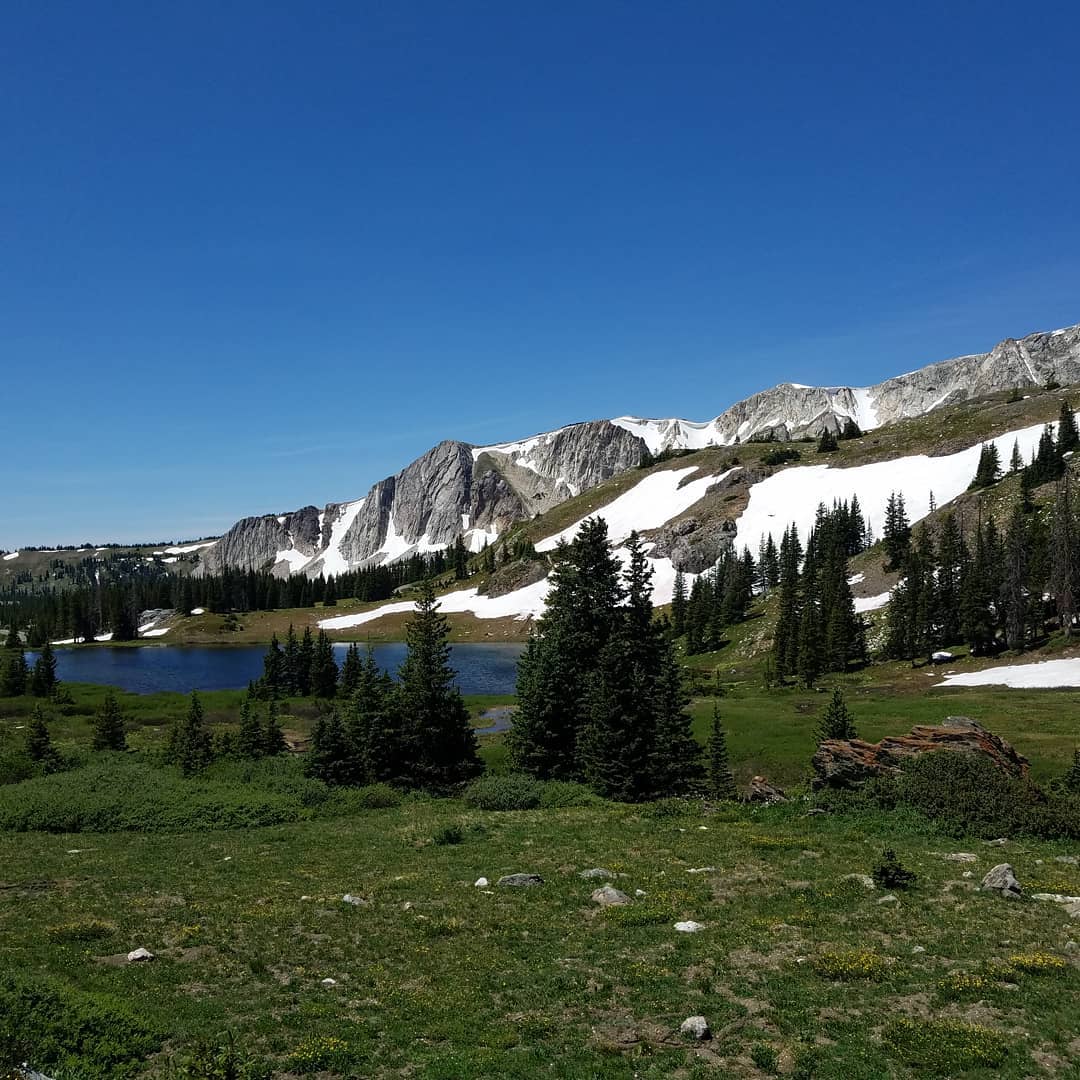 The Name Says It All