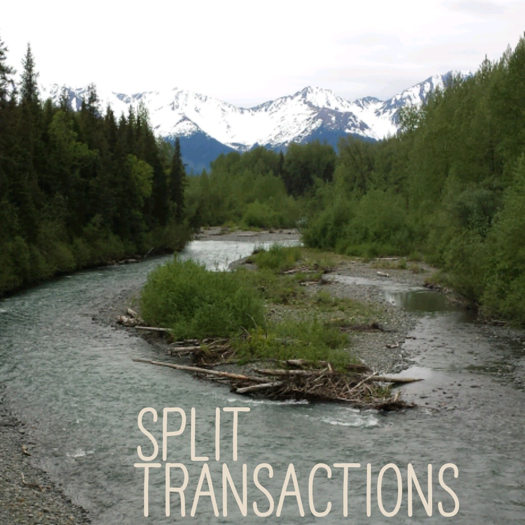Split Transactions